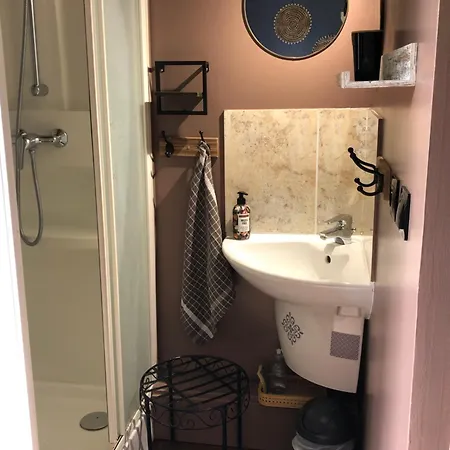 Le Domaine D'olene 3* Le Pin