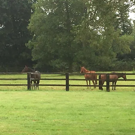 ベッド・アンド・ブレックファスト Le Domaine D'olene Le Pin