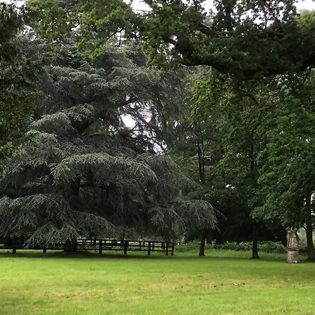 Le Domaine D'olene ベッド・アンド・ブレックファスト