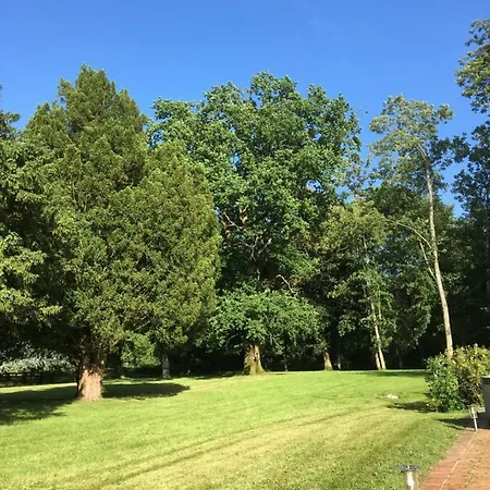 Le Domaine D'olene 3*