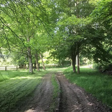 Le Domaine D'olene ベッド・アンド・ブレックファスト 3*