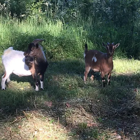 Le Domaine D'olene 3*