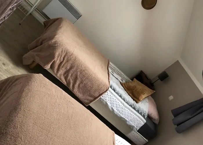 Le Domaine D'olene 3* Le Pin (Deux-Sevres)