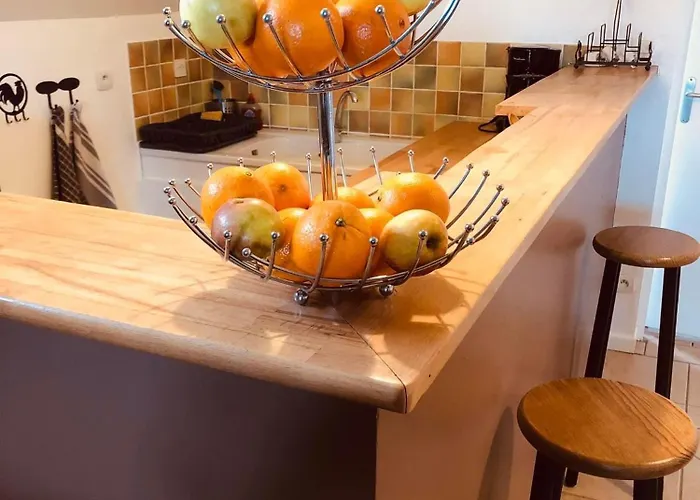 Le Domaine D'olene 3* Le Pin (Deux-Sevres)