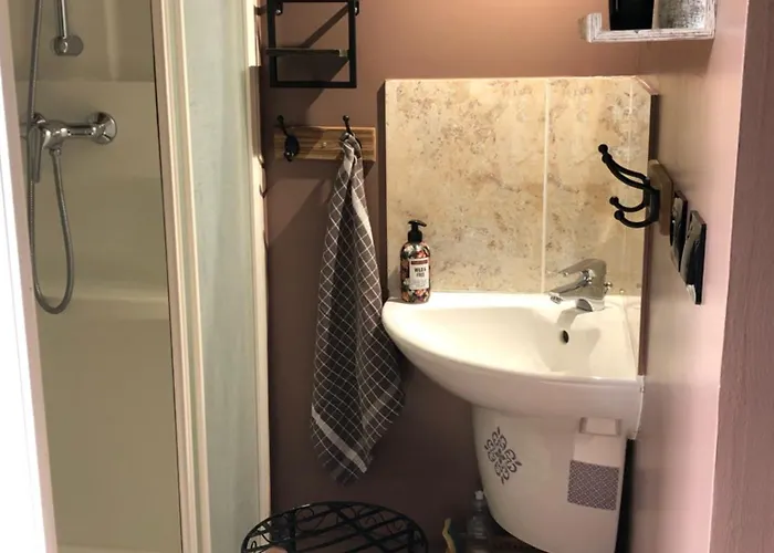 Le Domaine D'olene 3* Le Pin (Deux-Sevres)