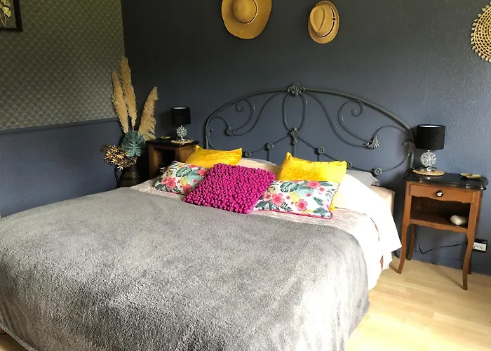 Le Domaine D'olene Bed & Breakfast Le Pin (Deux-Sevres)