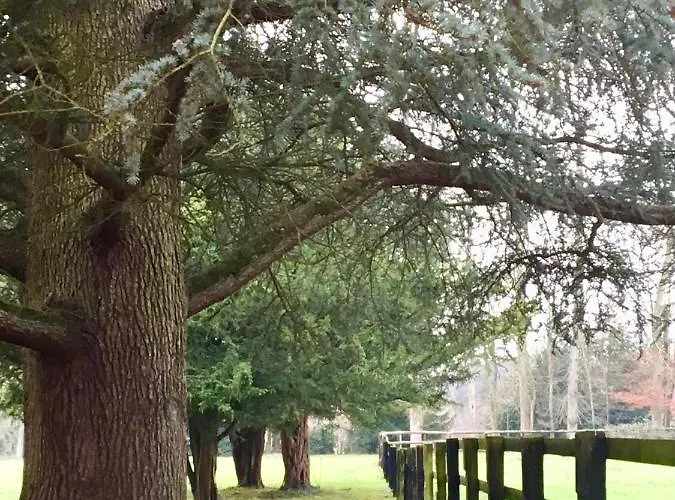 Le Domaine D'olene Bed & Breakfast