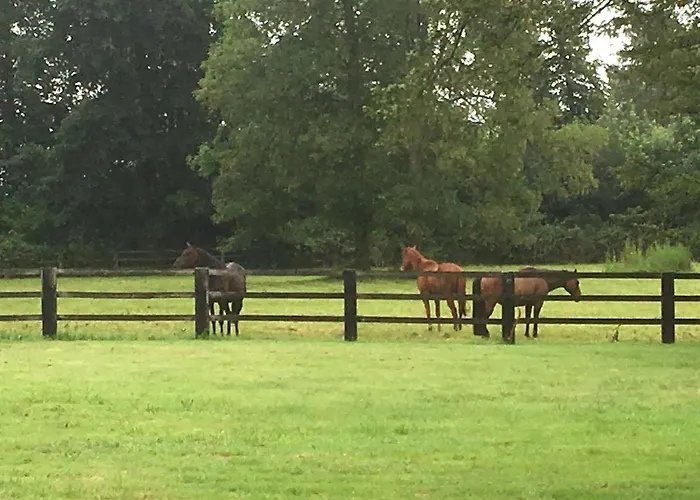 Bed & Breakfast Le Domaine D'olene Le Pin (Deux-Sevres)