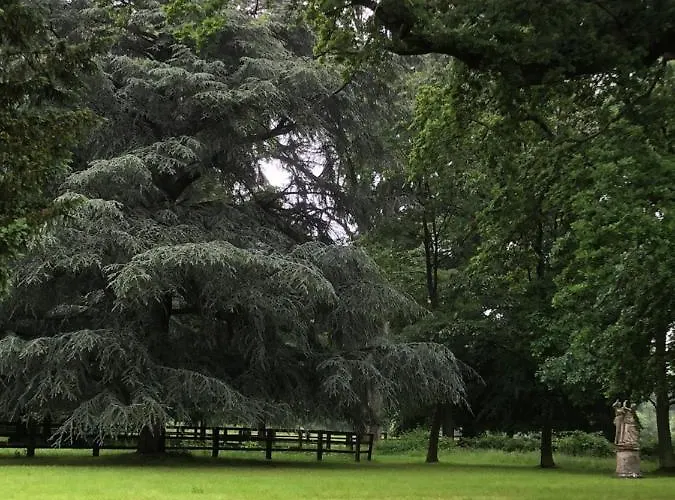 Le Domaine D'olene Bed & Breakfast