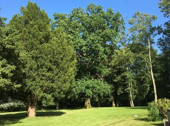 Le Domaine D'olene 3*