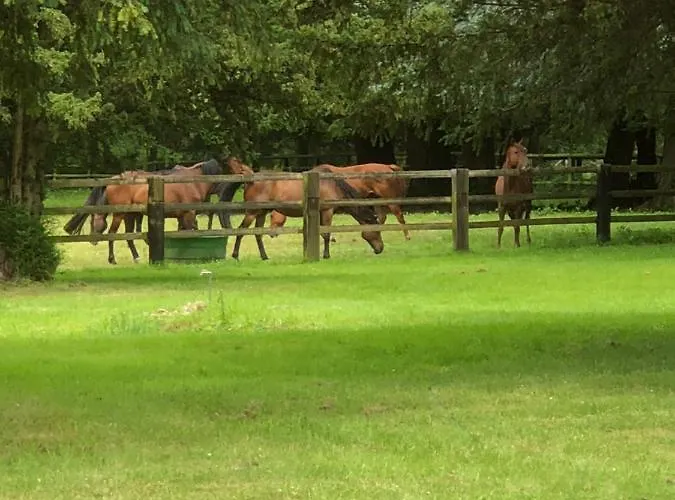 Bed & Breakfast Le Domaine D'olene 3*