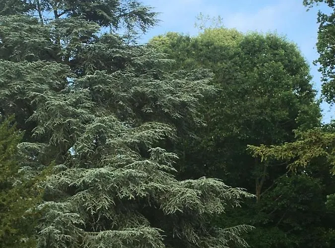 Bed & Breakfast Le Domaine D'olene 3*